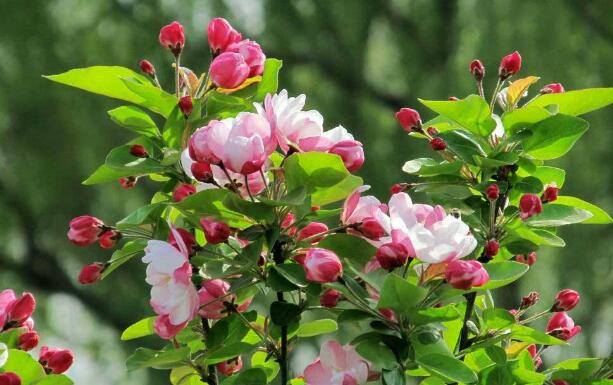 潛水壓縮機 潛水壓縮機